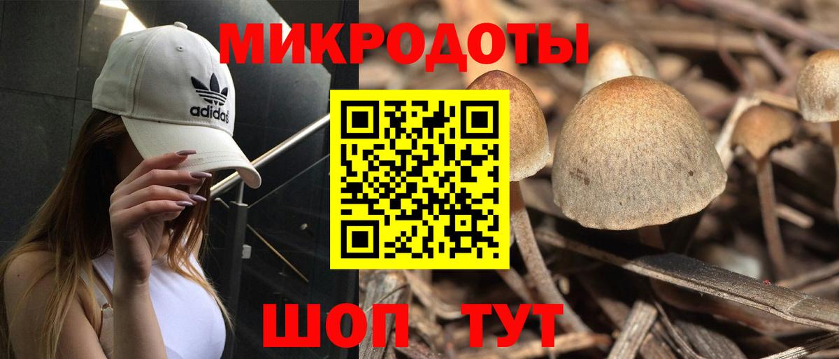 Псилоцибиновые грибы GOLDEN TEACHER Ликино-Дулёво